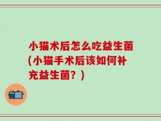 小猫术后怎么吃益生菌(小猫手术后该如何补充益生菌？)