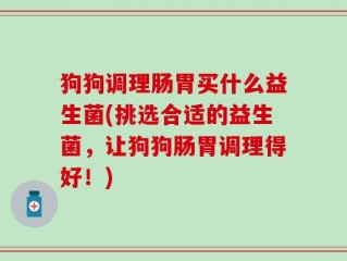 狗狗调理肠胃买什么益生菌(挑选合适的益生菌，让狗狗肠胃调理得好！)