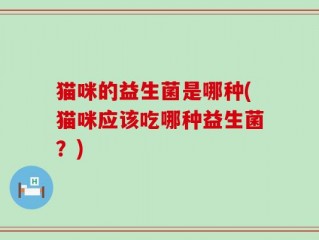 猫咪的益生菌是哪种(猫咪应该吃哪种益生菌？)