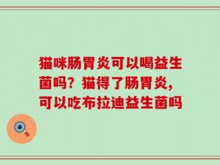 猫咪肠胃炎可以喝益生菌吗？猫得了肠胃炎,可以吃布拉迪益生菌吗
