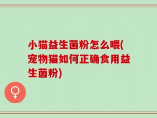 小猫益生菌粉怎么喂(宠物猫如何正确食用益生菌粉)