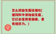怎么把益生菌给猪吃(猪饲料中添加益生菌，它们会变得更健康、更有抵抗力。)