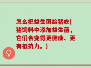 怎么把益生菌给猪吃(猪饲料中添加益生菌，它们会变得更健康、更有抵抗力。)