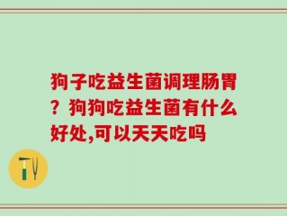 狗子吃益生菌调理肠胃？狗狗吃益生菌有什么好处,可以天天吃吗