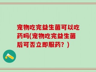 宠物吃完益生菌可以吃药吗(宠物吃完益生菌后可否立即服药？)