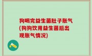 狗喝完益生菌肚子胀气(狗狗饮用益生菌后出现胀气情况)