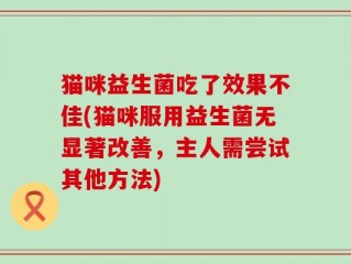 猫咪益生菌吃了效果不佳(猫咪服用益生菌无显著改善，主人需尝试其他方法)