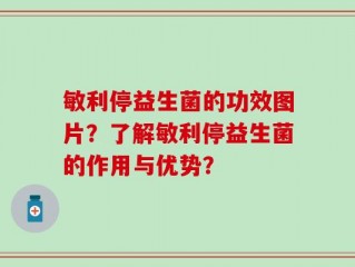 敏利停益生菌的功效图片？了解敏利停益生菌的作用与优势？