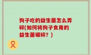 狗子吃的益生菌怎么弄碎(如何将狗子食用的益生菌碾碎？)