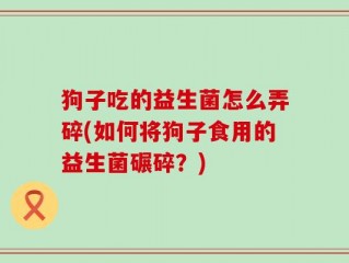 狗子吃的益生菌怎么弄碎(如何将狗子食用的益生菌碾碎？)