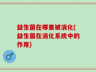 益生菌在哪里被消化(益生菌在消化系统中的作用)