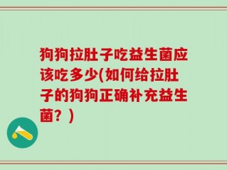 狗狗拉肚子吃益生菌应该吃多少(如何给拉肚子的狗狗正确补充益生菌？)