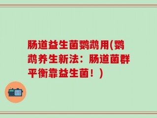 肠道益生菌鹦鹉用(鹦鹉养生新法：肠道菌群平衡靠益生菌！)