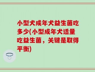 小型犬成年犬益生菌吃多少(小型成年犬适量吃益生菌，关键是取得平衡)