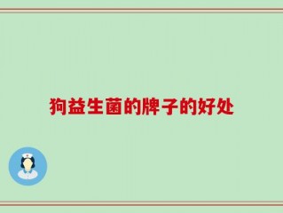 狗益生菌的牌子的好处