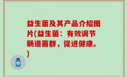 益生菌及其产品介绍图片(益生菌：有效调节肠道菌群，促进健康。)
