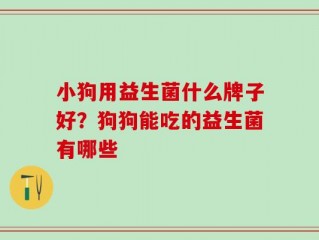 小狗用益生菌什么牌子好？狗狗能吃的益生菌有哪些