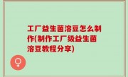 工厂益生菌溶豆怎么制作(制作工厂级益生菌溶豆教程分享)