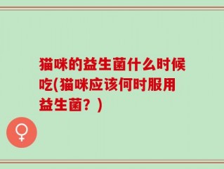 猫咪的益生菌什么时候吃(猫咪应该何时服用益生菌？)