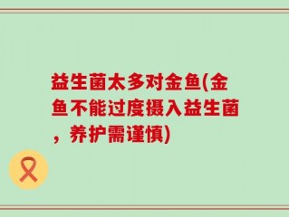 益生菌太多对金鱼(金鱼不能过度摄入益生菌，养护需谨慎)