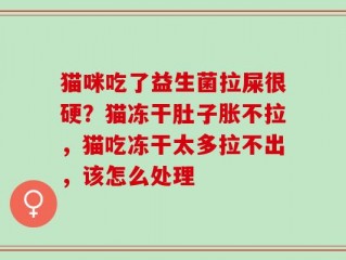 猫咪吃了益生菌拉屎很硬？猫冻干肚子胀不拉，猫吃冻干太多拉不出，该怎么处理