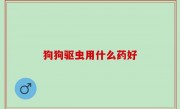 狗狗驱虫用什么药好