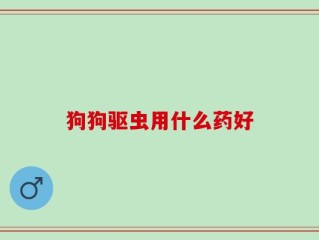 狗狗驱虫用什么药好