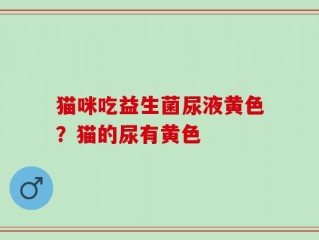 猫咪吃益生菌尿液黄色？猫的尿有黄色
