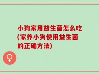 小狗家用益生菌怎么吃(家养小狗使用益生菌的正确方法)