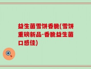 益生菌雪饼香脆(雪饼重磅新品-香脆益生菌口感佳)