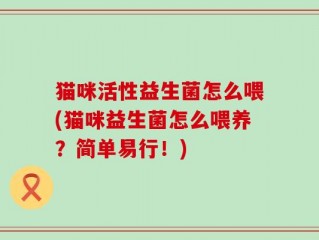 猫咪活性益生菌怎么喂(猫咪益生菌怎么喂养？简单易行！)