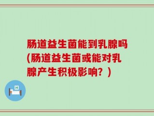 肠道益生菌能到乳腺吗(肠道益生菌或能对乳腺产生积极影响？)