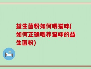 益生菌粉如何喂猫咪(如何正确喂养猫咪的益生菌粉)