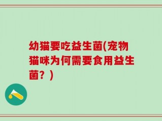 幼猫要吃益生菌(宠物猫咪为何需要食用益生菌？)
