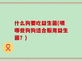 什么狗要吃益生菌(喂哪些狗狗适合服用益生菌？)