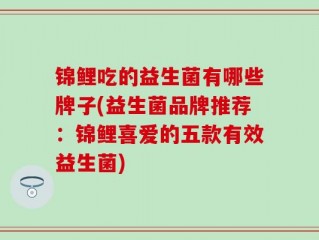 锦鲤吃的益生菌有哪些牌子(益生菌品牌推荐：锦鲤喜爱的五款有效益生菌)