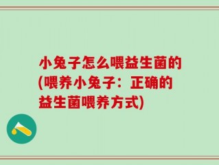 小兔子怎么喂益生菌的(喂养小兔子：正确的益生菌喂养方式)