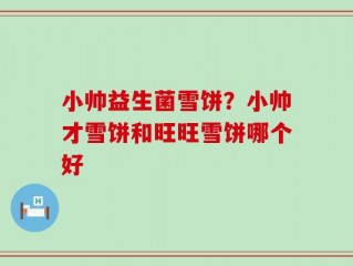 小帅益生菌雪饼？小帅才雪饼和旺旺雪饼哪个好