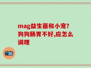 mag益生菌和小宠？狗狗肠胃不好,应怎么调理