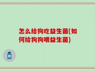 怎么给狗吃益生菌(如何给狗狗喂益生菌)