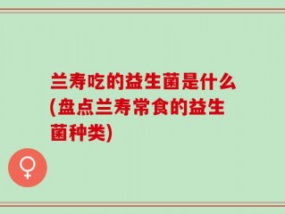兰寿吃的益生菌是什么(盘点兰寿常食的益生菌种类)