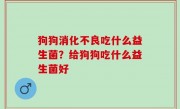 狗狗消化不良吃什么益生菌？给狗狗吃什么益生菌好