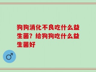 狗狗消化不良吃什么益生菌？给狗狗吃什么益生菌好