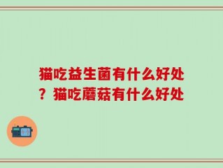 猫吃益生菌有什么好处？猫吃蘑菇有什么好处