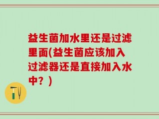 益生菌加水里还是过滤里面(益生菌应该加入过滤器还是直接加入水中？)