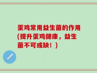 蛋鸡常用益生菌的作用(提升蛋鸡健康，益生菌不可或缺！)