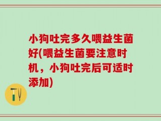 小狗吐完多久喂益生菌好(喂益生菌要注意时机，小狗吐完后可适时添加)