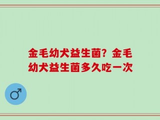 金毛幼犬益生菌？金毛幼犬益生菌多久吃一次