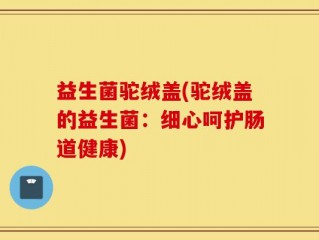 益生菌驼绒盖(驼绒盖的益生菌：细心呵护肠道健康)