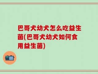巴哥犬幼犬怎么吃益生菌(巴哥犬幼犬如何食用益生菌)